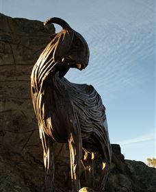 Nanny Goat Hill Lookout - Sydney Tourism 0