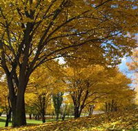 Centennial Park at Cooma - Sydney Tourism