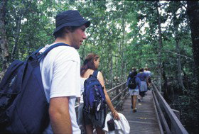 Mount Archer QLD Sydney Tourism