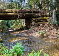 Myrtle Scrub scenic drive - Sydney Tourism