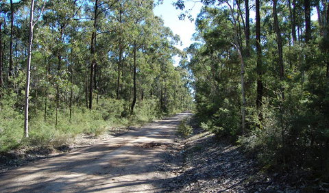 Werakata National Park - Sydney Tourism 2