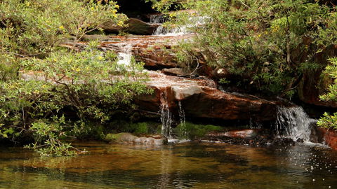 Popran National Park - Sydney Tourism 2