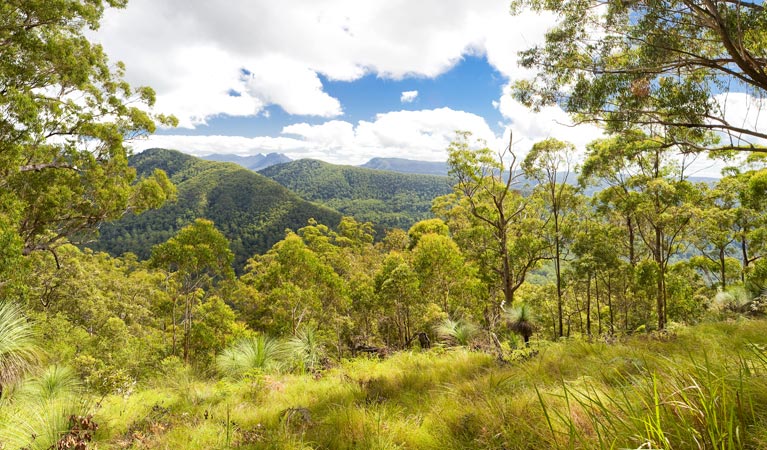 Little Back Creek NSW Sydney Tourism