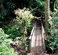 Richmond Range National Park - Sydney Tourism