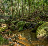 Palm Grove Nature Reserve