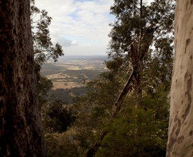 Heaton State Forest - Watagan Mountains - Sydney Tourism 1