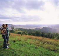 Mallanganee Lookout - Sydney Tourism