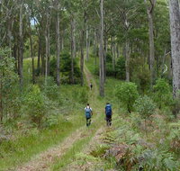 The Green Gully track - Sydney Tourism