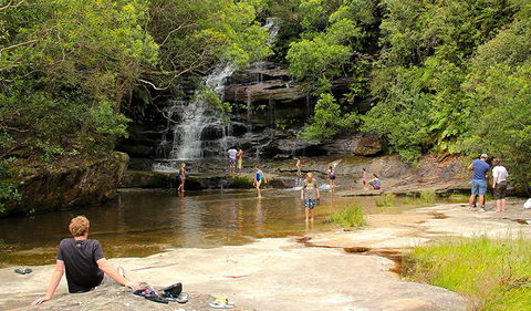 Somersby Falls Picnic Area - Sydney Tourism 0