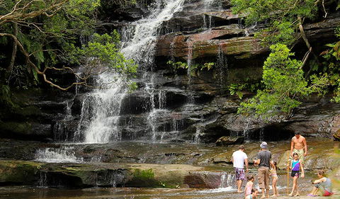 Somersby Falls Picnic Area - Sydney Tourism 2