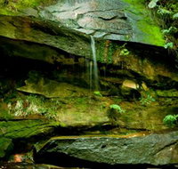 Strickland State Forest - Sydney Tourism