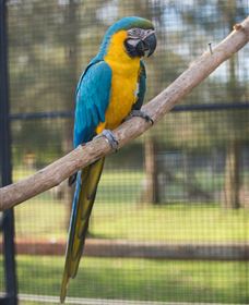 Amazement Farm And Fun Park / Cafe And Farmstay Accommodation - Sydney Tourism 8