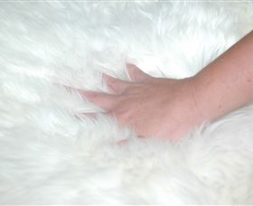 Mortels Sheepskin Factory - Sydney Tourism 4