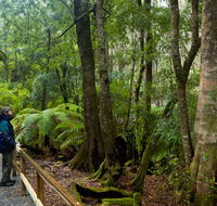 Monga National Park - Sydney Tourism