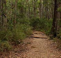 Pigeon House Mountain Didthul walking track - Sydney Tourism