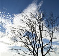 Nudgee Beach - Sydney Tourism