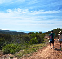 Moonee Beach trail - Sydney Tourism
