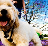 Tuckeroo Park - Sydney Tourism