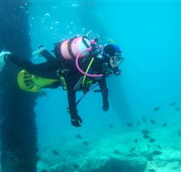 Shellharbour Scuba  Photography Centre - Sydney Tourism