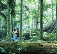 Illinbah circuit - Sydney Tourism