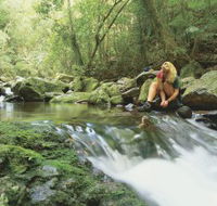 Dave's Creek circuit - Sydney Tourism