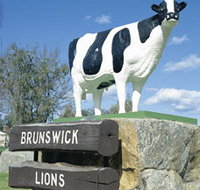 Brunswick Cow - Sydney Tourism