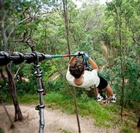 TreeTop Challenge - Sydney Tourism