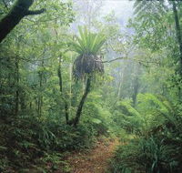 Wagawn - Sydney Tourism