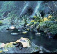 Coomera circuit - Sydney Tourism