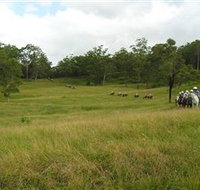 Numinbah Valley Adventure Trails - Sydney Tourism