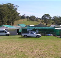 Tinonee Orchid Nursery