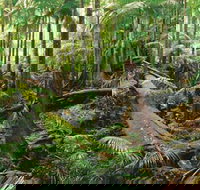 Wollumbin-Mount Warning National Park - Sydney Tourism