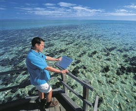 Hamelin Pool Stromatolites - Sydney Tourism 2