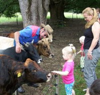 Crystal Creek Miniatures - Sydney Tourism