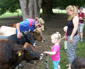 Crystal Creek Miniatures - Sydney Tourism 0