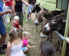 Crystal Creek Miniatures - Sydney Tourism 1