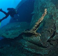 Cementco Dive Site - Sydney Tourism