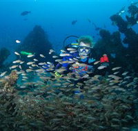 Aarhus Dive Site - Sydney Tourism