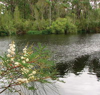 Wallingat National Park - Sydney Tourism