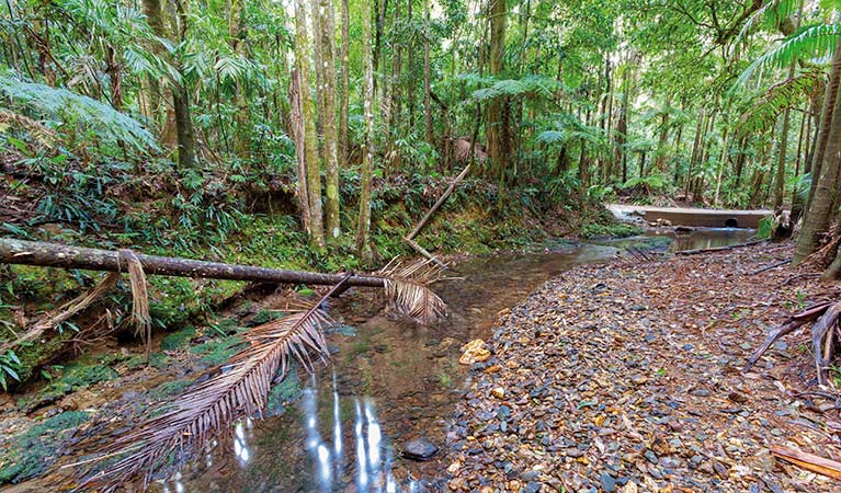Karangi NSW Sydney Tourism