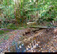 Ulidarra National Park - Sydney Tourism