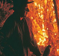 The Shed Gallery - Sydney Tourism