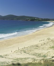One Mile Beach - Sydney Tourism 0