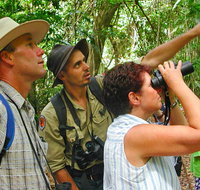 Falls walking track - Sydney Tourism