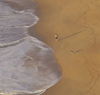 Scotts Head Beach - Sydney Tourism