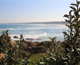 Cape Conran Coastal Park - Sydney Tourism 0