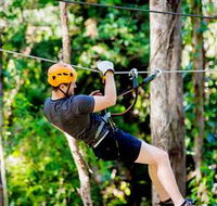 TreeTop Challenge Currumbin - Sydney Tourism