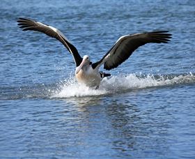 John Barton Photography - Sydney Tourism 1