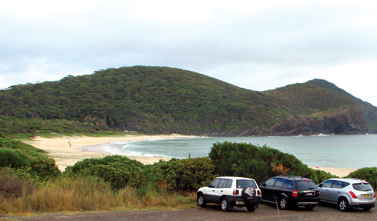 Elizabeth Beach NSW Sydney Tourism