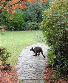 Narek Galleries - Sydney Tourism 2